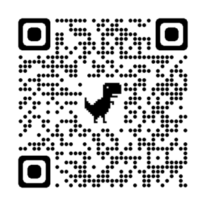 DNV QR Code